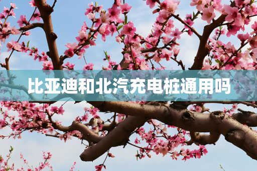 比亚迪和北汽充电桩通用吗