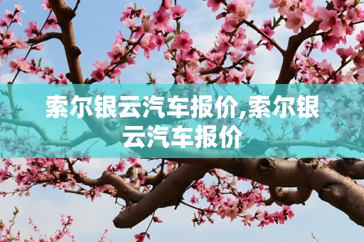 索尔银云汽车报价,索尔银云汽车报价