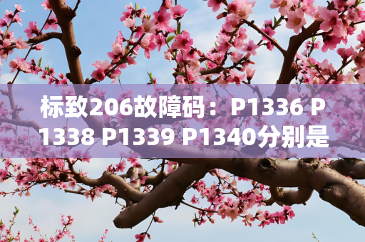 标致206故障码：P1336 P1338 P1339 P1340分别是什么意思？