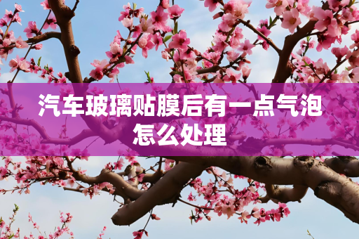 汽车玻璃贴膜后有一点气泡怎么处理