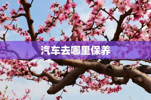 汽车去哪里保养