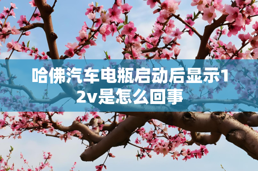 哈佛汽车电瓶启动后显示12v是怎么回事