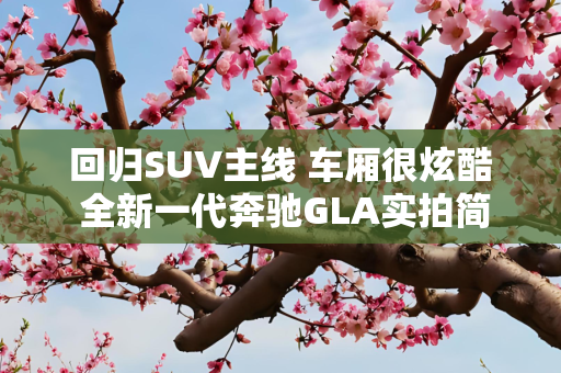 回归SUV主线 车厢很炫酷 全新一代奔驰GLA实拍简评