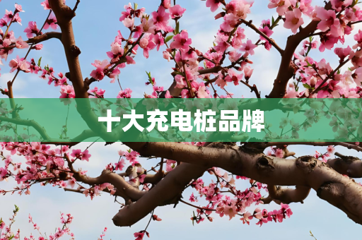 十大充电桩品牌