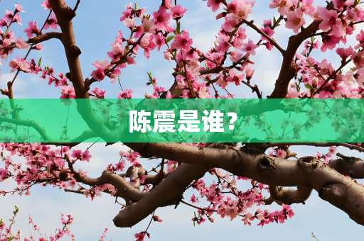 陈震是谁？