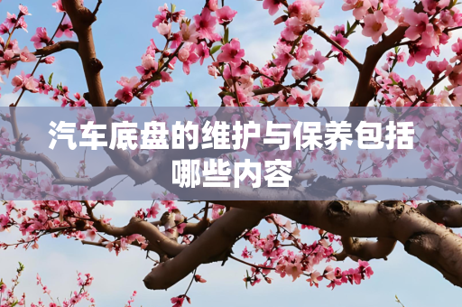 汽车底盘的维护与保养包括哪些内容