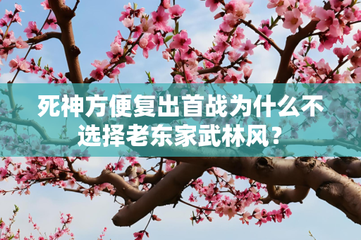 死神方便复出首战为什么不选择老东家武林风？