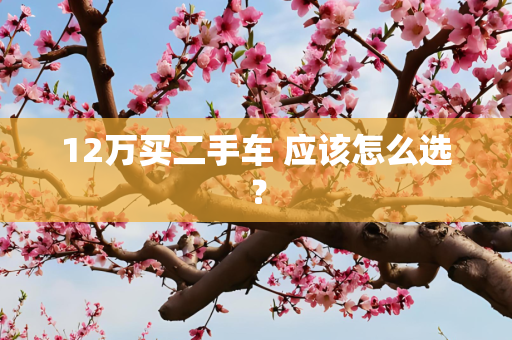 12万买二手车 应该怎么选？