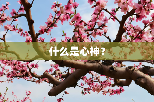 什么是心神？