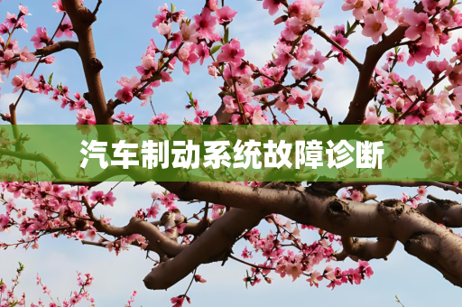 信息 第258页