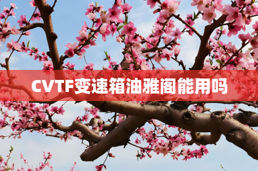 CVTF变速箱油雅阁能用吗