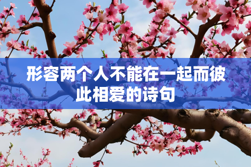 形容两个人不能在一起而彼此相爱的诗句