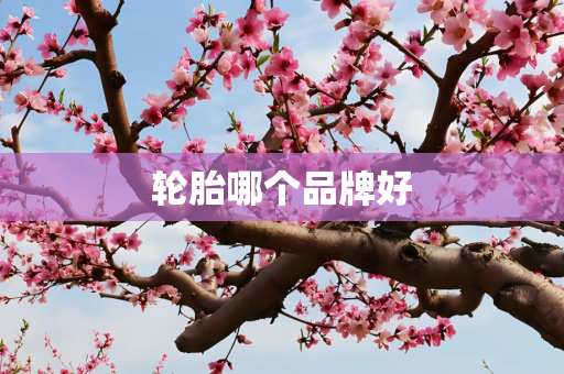 轮胎哪个品牌好