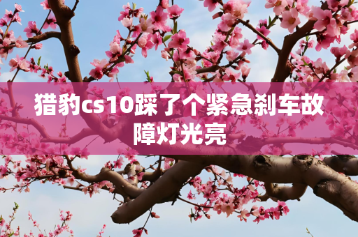 科技 第263页
