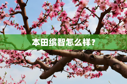 本田缤智怎么样？