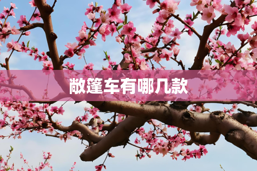 敞篷车有哪几款