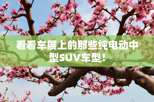 看看车展上的那些纯电动中型SUV车型！