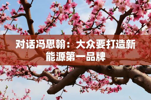 对话冯思翰：大众要打造新能源第一品牌