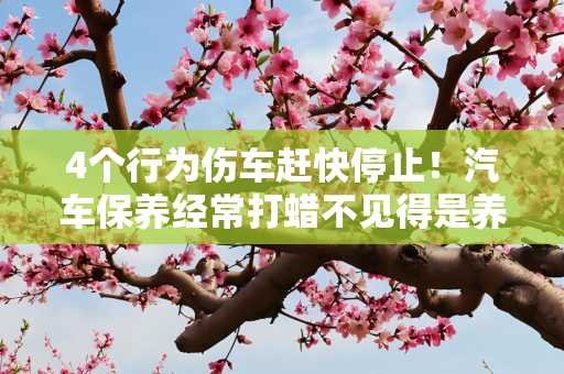 4个行为伤车赶快停止！汽车保养经常打蜡不见得是养车！