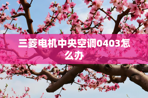 三菱电机中央空调0403怎么办