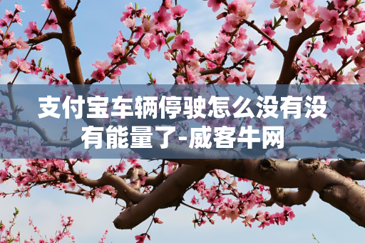支付宝车辆停驶怎么没有没有能量了-威客牛网