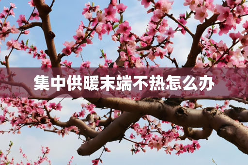 集中供暖末端不热怎么办
