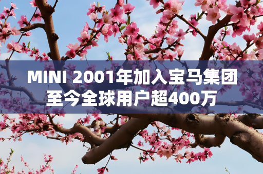 MINI 2001年加入宝马集团至今全球用户超400万