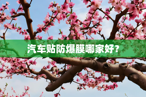 汽车贴防爆膜哪家好？