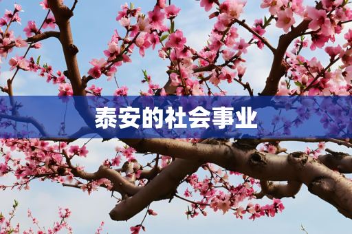 科技 第44页