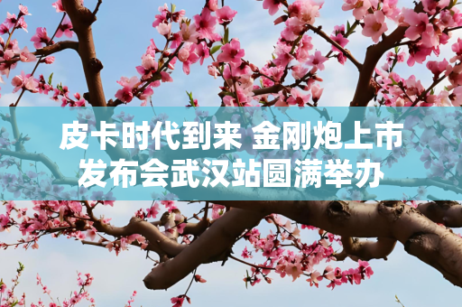 皮卡时代到来 金刚炮上市发布会武汉站圆满举办