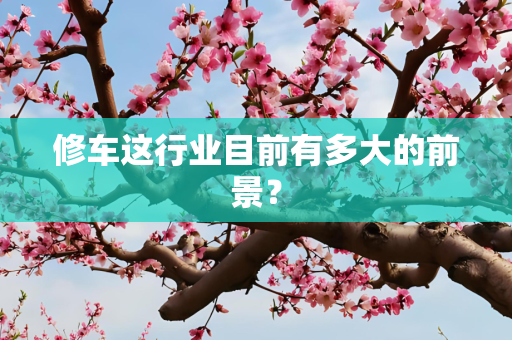 修车这行业目前有多大的前景？