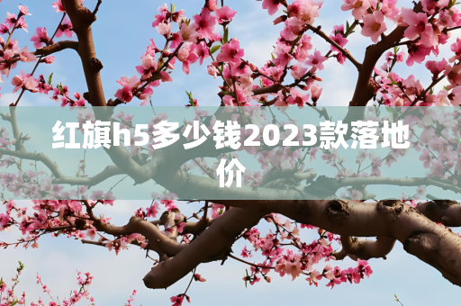 红旗h5多少钱2023款落地价