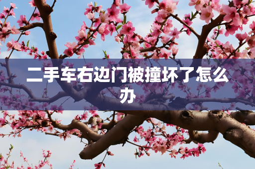科技 第43页
