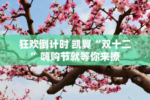 狂欢倒计时 凯翼“双十二”嗨购节就等你来撩