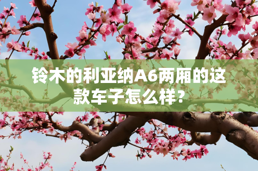 铃木的利亚纳A6两厢的这款车子怎么样？