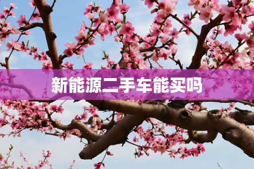 新能源二手车能买吗