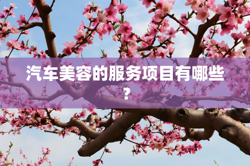 汽车美容的服务项目有哪些？