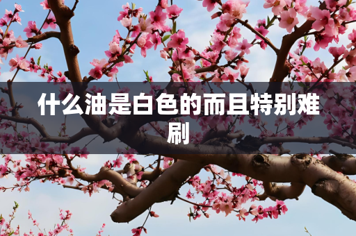 什么油是白色的而且特别难刷