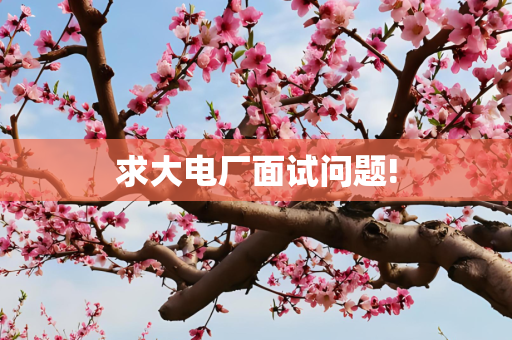信息 第255页