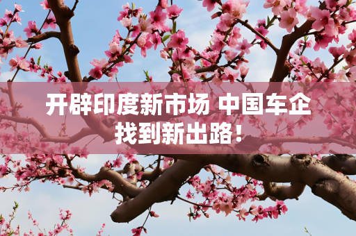 开辟印度新市场 中国车企找到新出路！