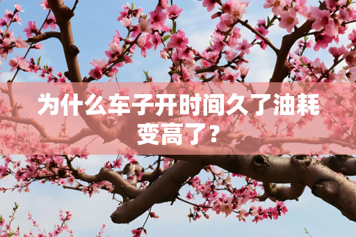 为什么车子开时间久了油耗变高了？