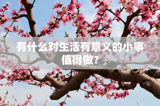 有什么对生活有意义的小事值得做？