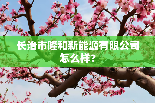 长治市隆和新能源有限公司怎么样？