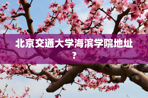 北京交通大学海滨学院地址?