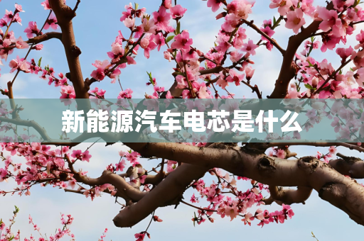 新能源汽车电芯是什么
