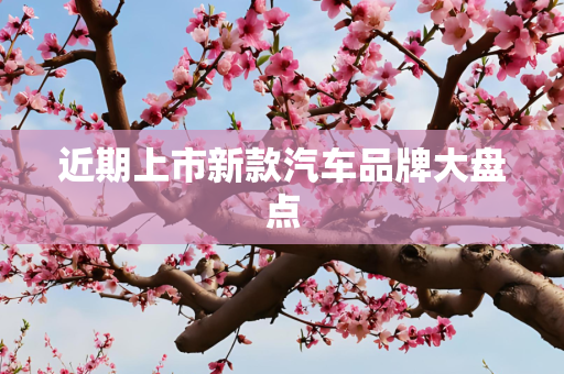 近期上市新款汽车品牌大盘点