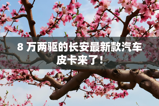 8 万两驱的长安最新款汽车皮卡来了！