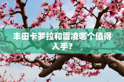 丰田卡罗拉和雷凌哪个值得入手？