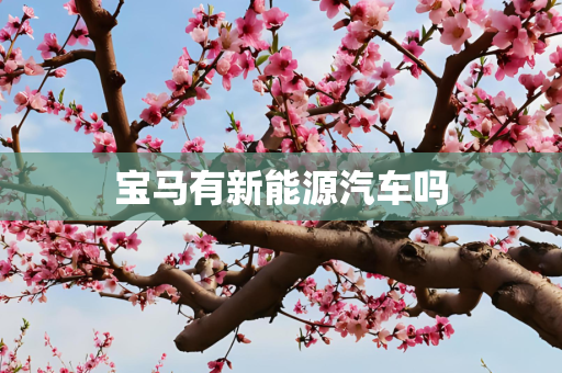 宝马有新能源汽车吗