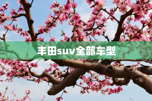 丰田suv全部车型